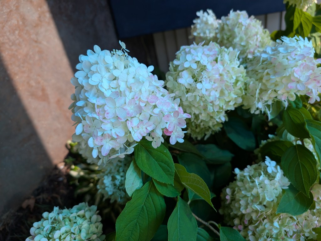 “Whoso Suffers Most Hath Most to&nbsp;Give”