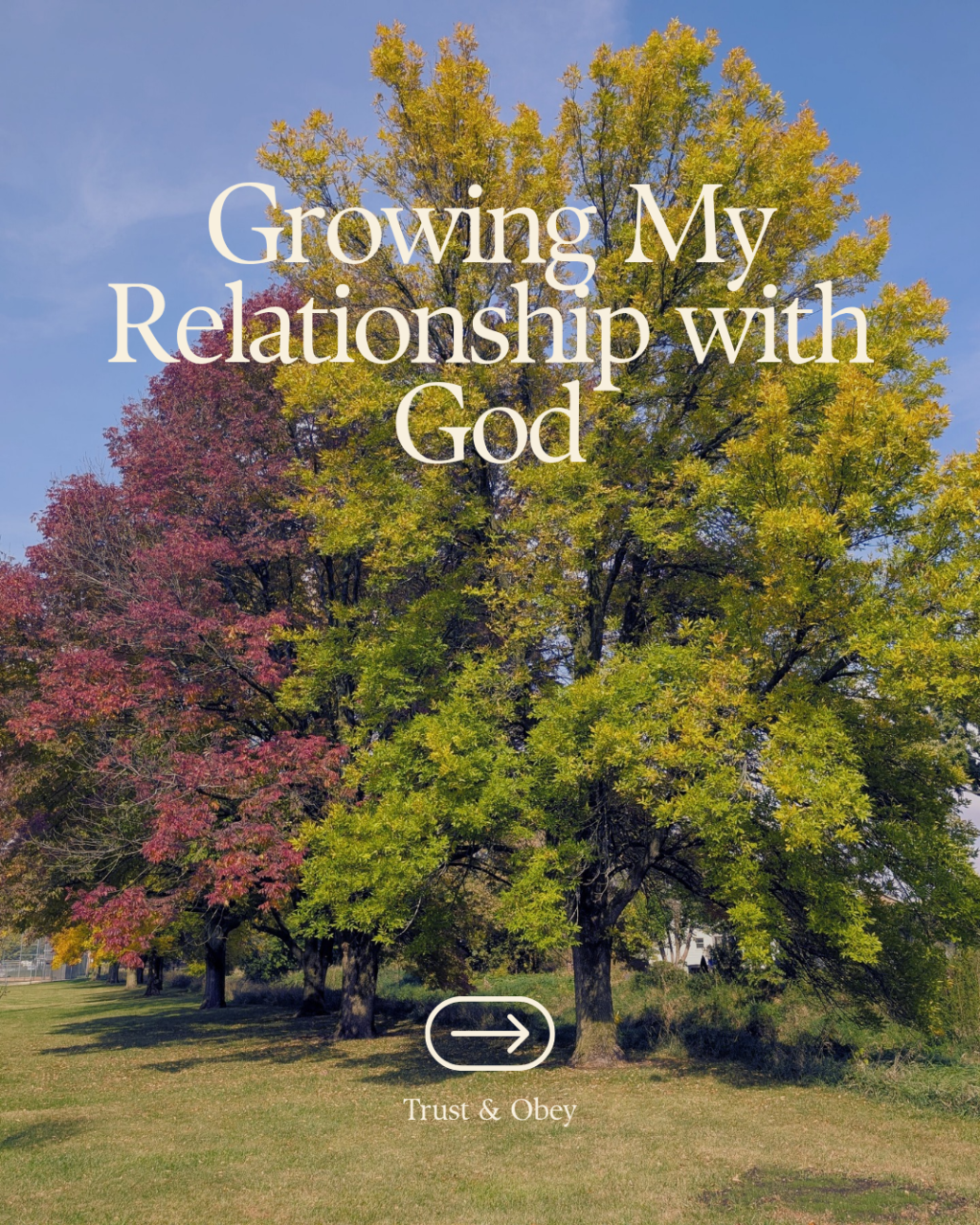 Growing My Relationship with&nbsp;God